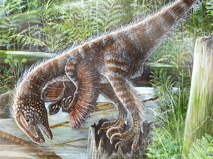 1.dromaeosaur-spotlight-large