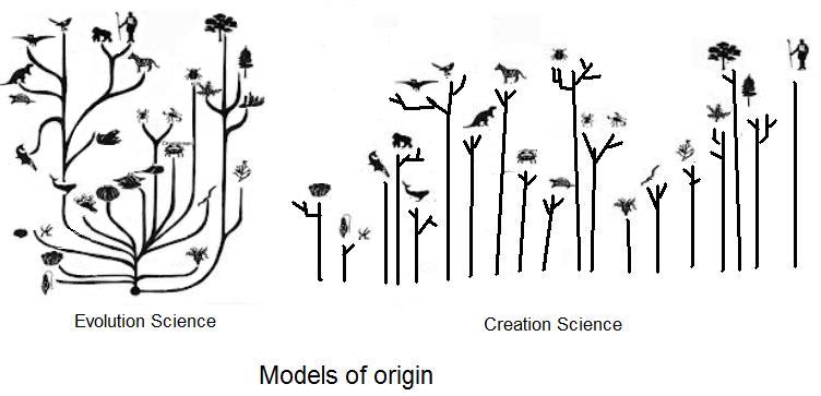 creation-orchard-eww