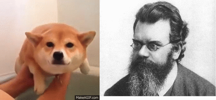 boltzmann