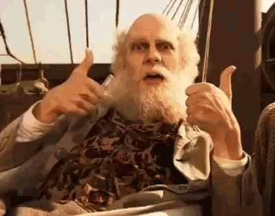 tumblr_njn7o8p8Mq1s3395ro1_500